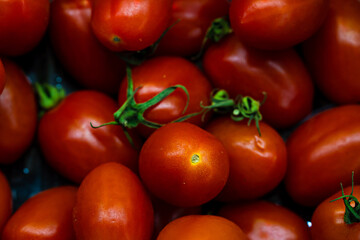 red bio tomatoes in market