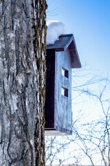 A birdhouse on a tree trunk.