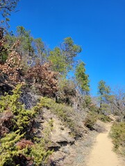 Obraz premium Promenade 