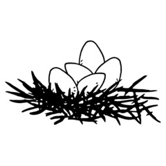 Egg in the nest sketch hand drawn. Vector illustration of chicken eggs in the nest.