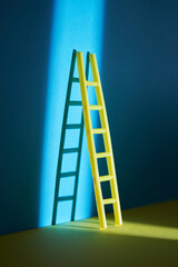toy ladder on color background