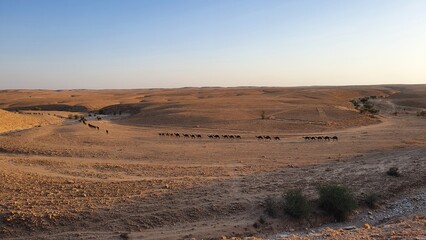 Edge of the world, Riad, Saudi-Arabien