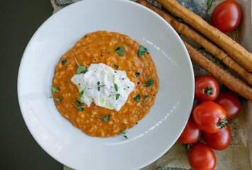 Delicious italian meal portion of food. Portion of risotto with cheese and tomatoes