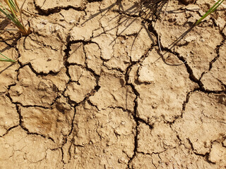 dried out ground surface with cracks