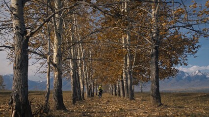 The woman travel on mixed terrain cycle touring with bikepacking. The traveler journey with bicycle bags. Sportswear in green black colors. The trip in magical autumn forest, arch, alley, avenue.