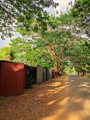 Fototapeta premium Car Parking sheds