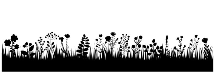 silhouette grass, plants silhouette isolated vector