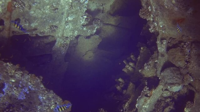 underwater circle panorama of part shipwreck with fish swimming there. Maldives