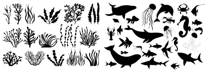 set of algae fish black silhouette isolated vector - obrazy, fototapety, plakaty