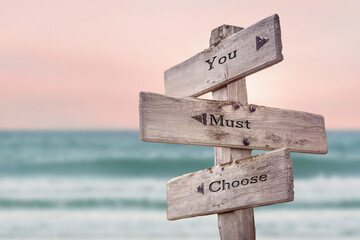 you must choose text quote written on wooden signpost by the sea. Positive pink turqoise pastel...