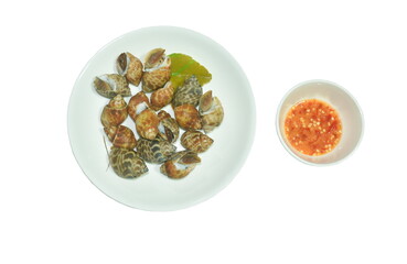 steamed spotted or areola Babylon on plate dipping with Thai spicy seafood sauce