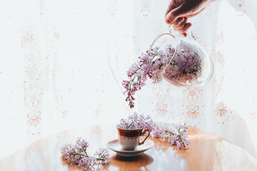 Fototapeta na wymiar Hand pouring lilac from carafe, glass bowl to the small vintage teacup