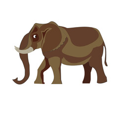 elephant on a wooden background,elephant cartoon isolated on white, Cartoon elephant vector isolated on white background
