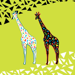 White and black giraffes on the green background