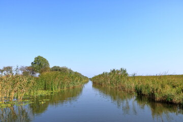 Fototapeta na wymiar a small river channel in the Danube Delta