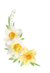 Floral decor with daffodils, watercolor illustration