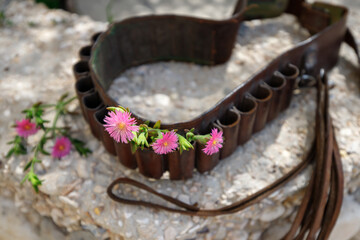 Cartridge belt and flowers as a symbol for terror or war and peace. Selective fokus