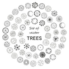 Trees for the master plan. Tree for architectural floor plans. Entourage design. Various trees, bushes, and shrubs, top view for the landscape design plan. Vector illustration.