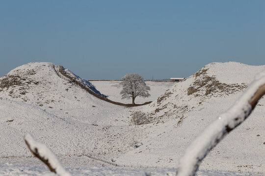 Sycamore Gap In Snow