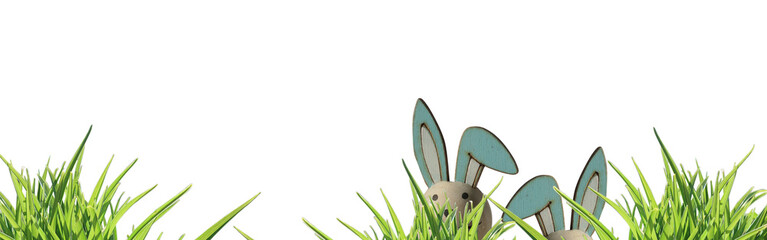 banner two easter bunny ears left side, peeping through green grass isolated  osterhase- copy space