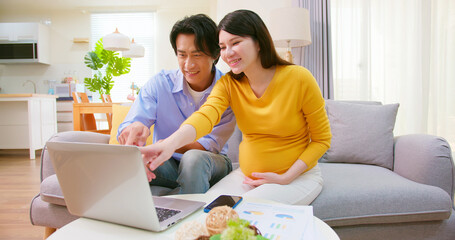 Obraz na płótnie Canvas asian pregnant couple use computer