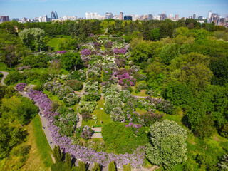 Kyiv, Ukraine .The Botanical Garden named after N.N. Grishko of the National Academy of Sciences of Ukraine. Aerial drone view.  - 490910518