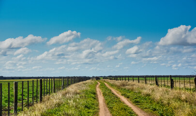 Fototapeta na wymiar Pampas landscape with cloudy sky, La Pampa, Argentina.