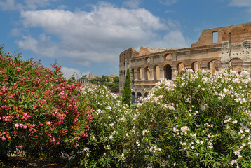 Obraz premium Rome, Italy - June 2000: View of the Colosseum, Amphitheatrum Flavium