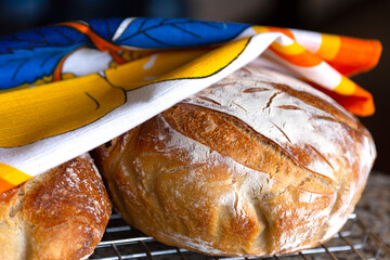 homemade organic breads are healthy and delicious