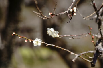 It&rsquo;s getting warmer