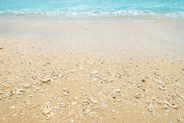 A sandy beach with waves, small shells and finely broken coral