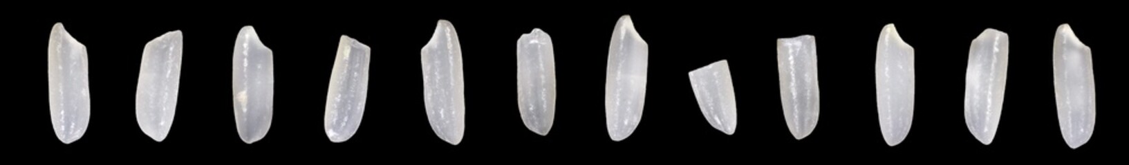 close-up macro shot. Uncooked white rice grains, Isolated black background.	
