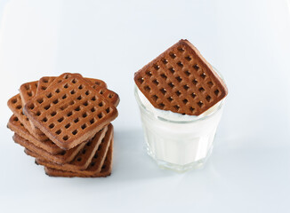 dipping chocolate cookie in glass of milk or kefir, white background. stack of chocolate cookies