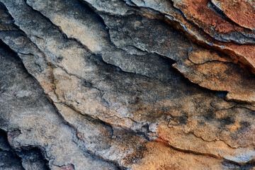 Background of the textured Sandrock