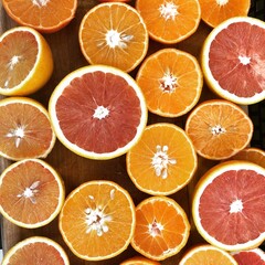 Slices of oranges and other Florida citrus fruit 