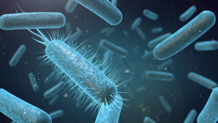 Medical illustration of bacteria cells