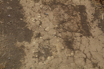 dry dirt soil texture