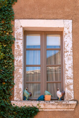 Roussillon (Vaucluse), Fenster