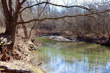The calm brook in the woods on a sunny winter day.