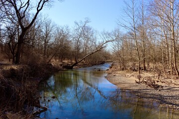 The quiet flowing creek in the woods on a sunny day.
