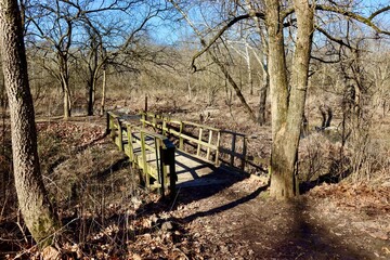 The old wood bridge on the trail I the forest.
