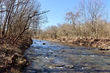 The flowing creek in the forest on a sunny day.