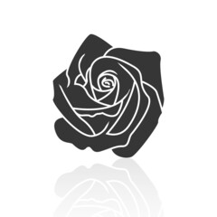 Solid icons for rose flower and shadow,vector illustrations