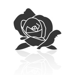 Solid icons for rose flower and shadow,vector illustrations