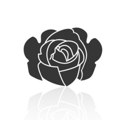 Solid icons for rose flower and shadow,vector illustrations