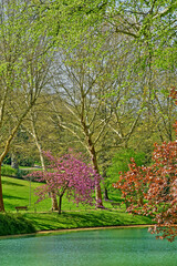 Poissy; France - april 11 2019 : the Meissonier park