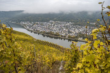 Famous German Wine Region Moselle River Lay village