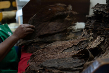 The process of rolling tobacco leaves. Selection of leaves for the production of cigars.