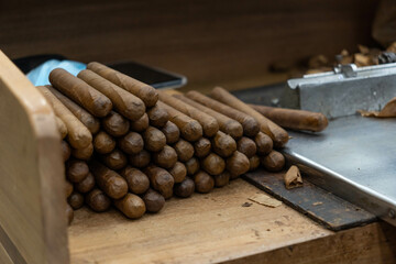 Handmade, high-quality Dominican cigars. The process of rolling tobacco leaves.