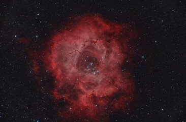 Nebulosa rosetta nella costellazione dell'Unicorno - 490923798